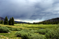 Flat Tops after Rain